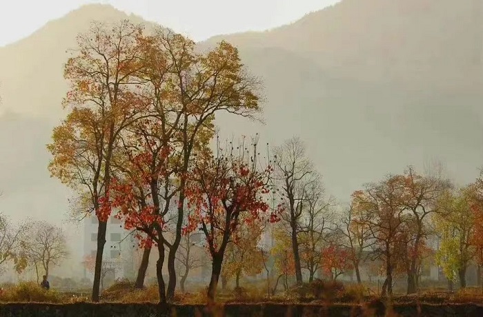 1678427881835398.jpg 1.jpg