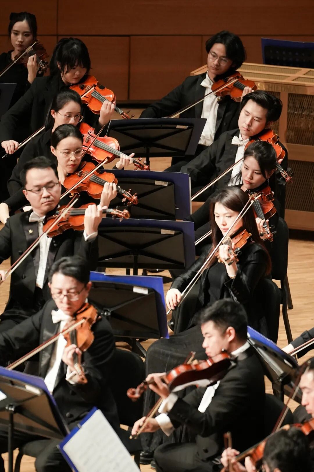 1773728653367774.jpg 4.jpg